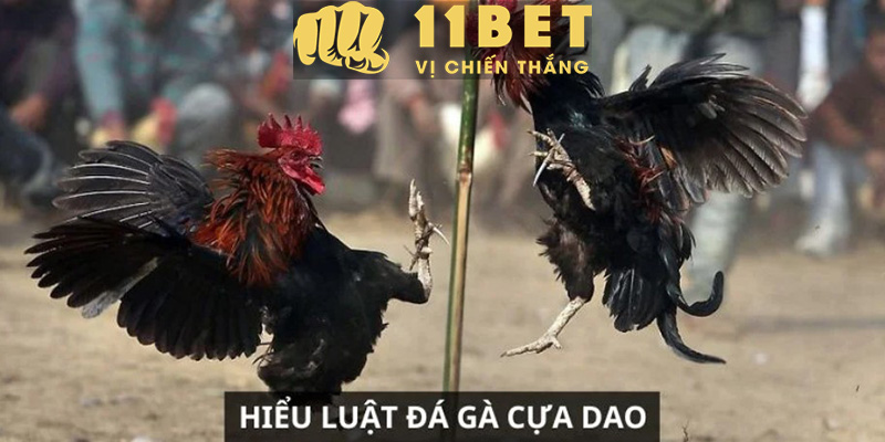 Xổ Số 11bet - Cách Chơi Xổ Số Vietlott Bingo 18 Để Trúng Lớn