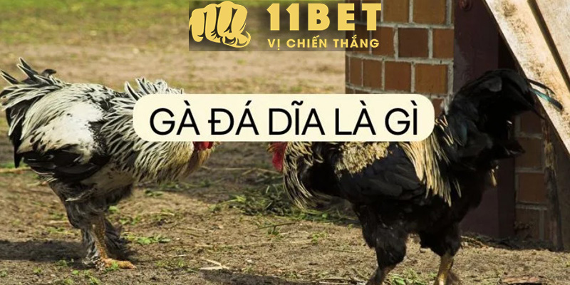 Những Mẹo Hữu Ích Khi Chơi Quay Số 11bet